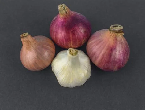 Three red colored medium sized fresh onion and a white colored garlic stacked Stock Photos
