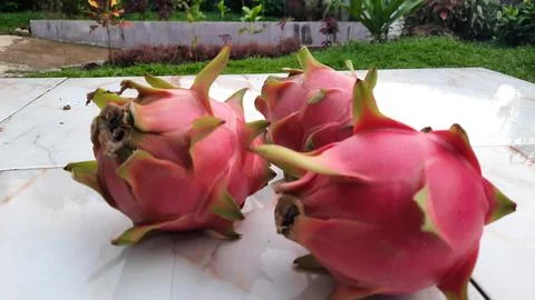 Three red dragons on the marble table Stock Photos