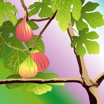 Three Red Figs Illustrazione stock