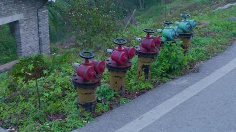 Three red fire hydrants and two green ones lined up together. Stock Footage 329144309