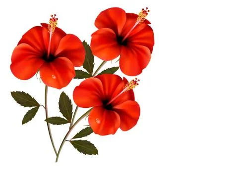 Three red flowers background. vector. Illustrazione stock