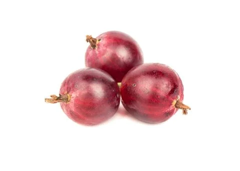 Three red gooseberries Stock Photos