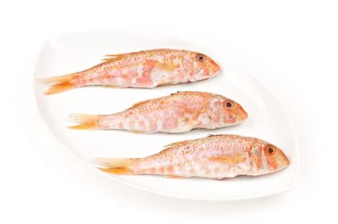 Three red mullets seafood on a white oval dish Stock Photos