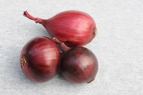 Three red onion bulbs Stock Photos