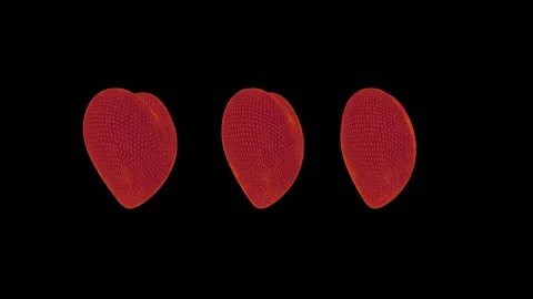 Three red with orange net heart shapes comes from background Stock Footage 141220412
