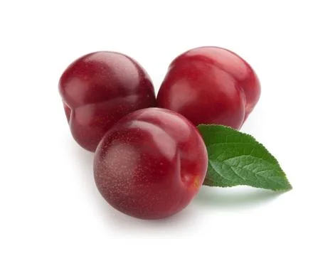 Three red plums with a leaf Stock Photos