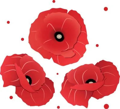 Three red poppies at different angles Stock Illustration