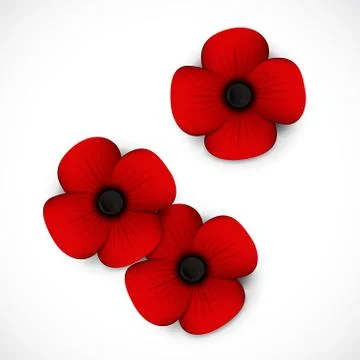 Three red poppies Stock Illustration