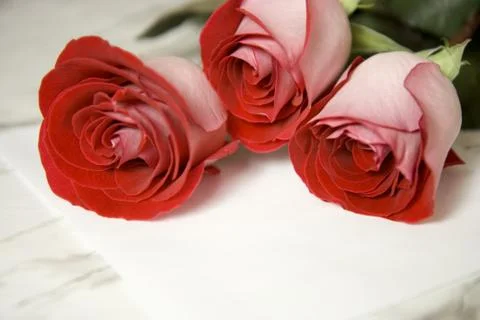 Three red roses and note Stock Photos