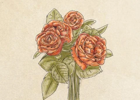 Three red roses Stock Illustration