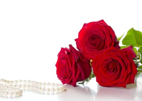 Three red roses Stock Photos