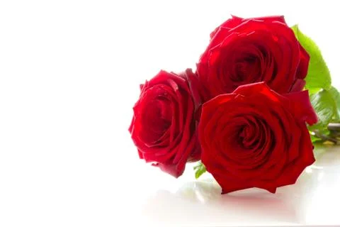 Three red roses Stock Photos