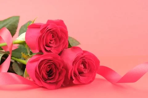 Three red roses on a red background with a ribbon Stock Photos
