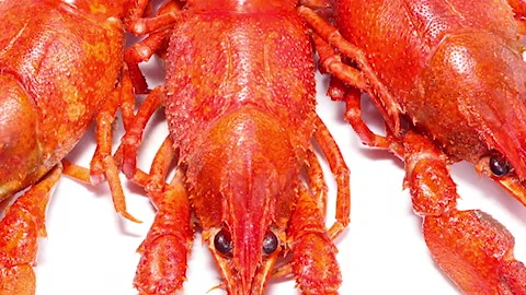 Three red thugs crayfish on a white background, slow motion. Delicacy snack. Stock Footage 159877254