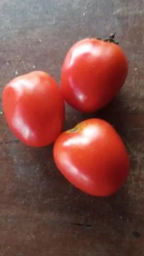 Three red tomatoes Stock-Fotos