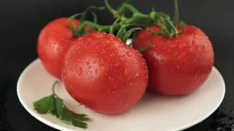 Three red tomatoes with water droplets dripping off. Stock Footage 22198125