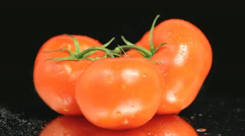 Three Red Tomatos Stock-Footage 8992033