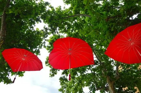 Three red umbrellas Stock Photos