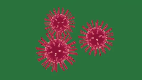 Three red viruses on Green screen and screen two green screen composition 스톡 동영상 335981356