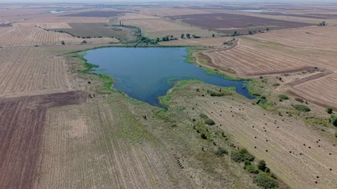 Three Reservoirs Surrounded by Agricultural Fields near Zlatari, Bulgaria Stock Footage 345841025