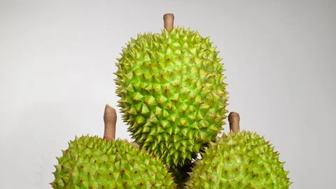 Three Ri6 durians stacked in pyramid on white studio background. 動画素材 334322941