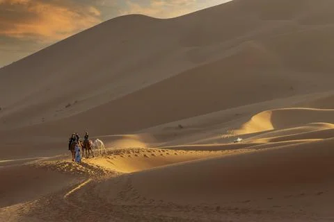 Three Riders And Their Handler Travel Through The Saharan Desert On Their C.. Stock Photos