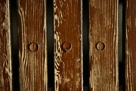 Three ring on the woods Stock Photos