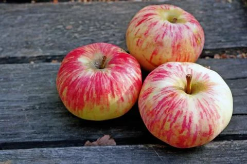 Three ripe apples on a rustic gray boards Stock Photos