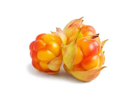 Three ripe cloudberries isolated on white background Stock Photos