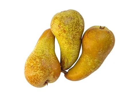 Three ripe Conference pears group isolated on a white background Stock Photos