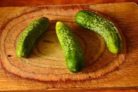 Three ripe cucumbers on a light background of a cutting board Stock Photos