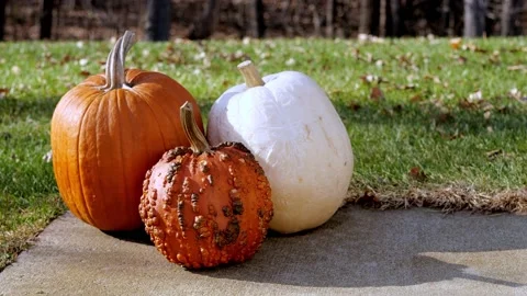 Three ripe Halloween pumpkins with stems sitting on a concrete sidewalk. Stock Footage 148782962