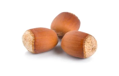 Three ripe hazelnuts Stock Photos