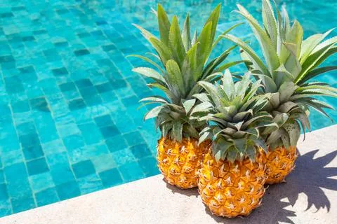 Three ripe pineapples by the pool on a summer day. Summer vacation concept Foto stock