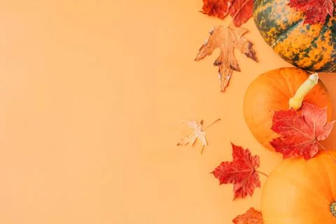 Three ripe pumpkins of different colors with dry maple leaves on an orange Foto stock