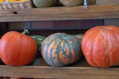 Three ripe pumpkins of different varieties on the counter after harvesting Stock Photos