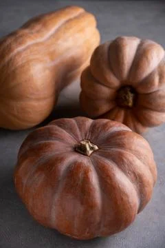 Three ripe pumpkins on a gray background. Stock Photos