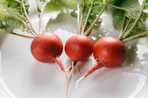 Three ripe radish Stock Photos