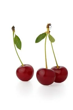 Three Ripe Red Cherries: One Single and Two on a Shared Stem Stock Photos