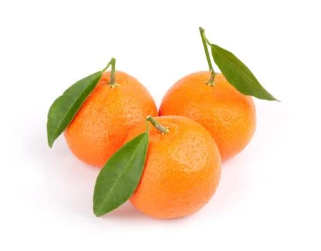 Three ripe tangerines with leafs Stock Photos