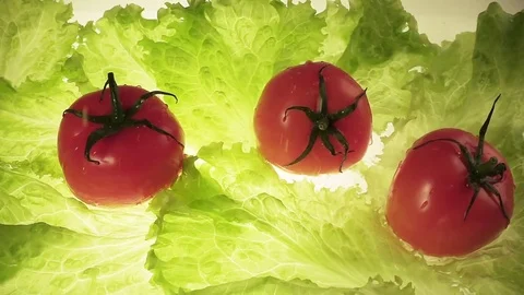 Three ripe tomato drop down in water with salad leaves Stock Footage 71449878