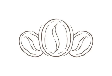 Three Roasted Coffee Beans In A Symmetrical Composition Sketch Vector Illus.. Stockillustratie