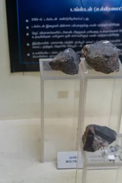 Three rocks are on display in a clear case. in Chennai Stock-Fotos