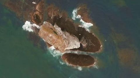 Three rocks in the ocean. Rock in the sea. Birds on the coast of the island in Stock Footage 73524076