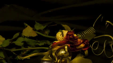 Three roses 5 seconds Stock Footage 5186794