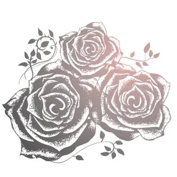 Three roses illustration Stock Illustration