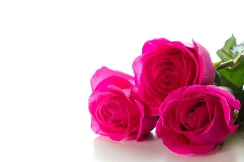 Three roses Foto stock