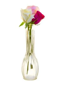 Three Roses in a Vase Stock Photos