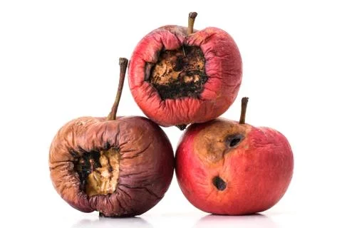 Three rotting apples Stock Photos