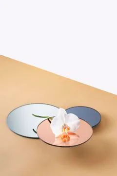 Three round stands for objects with white orchid flower Stock Photos